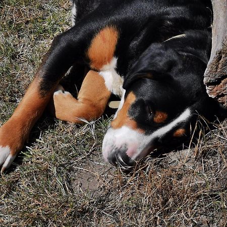 Ferienhof Ehlers Hulsede ภายนอก รูปภาพ
