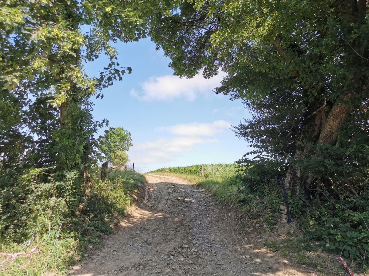 Ferienhof Ehlers Hulsede ภายนอก รูปภาพ