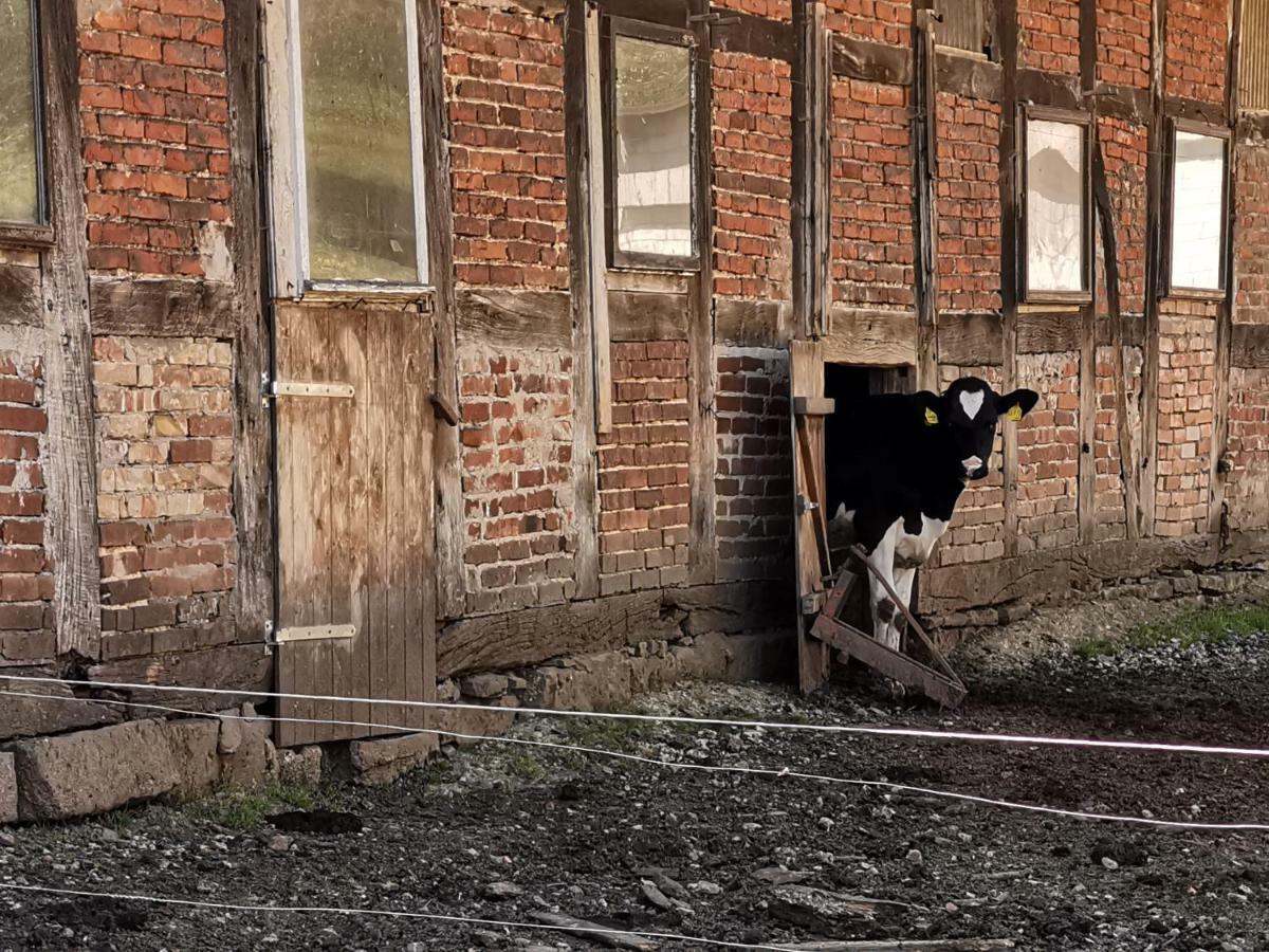 Ferienhof Ehlers Hulsede ภายนอก รูปภาพ